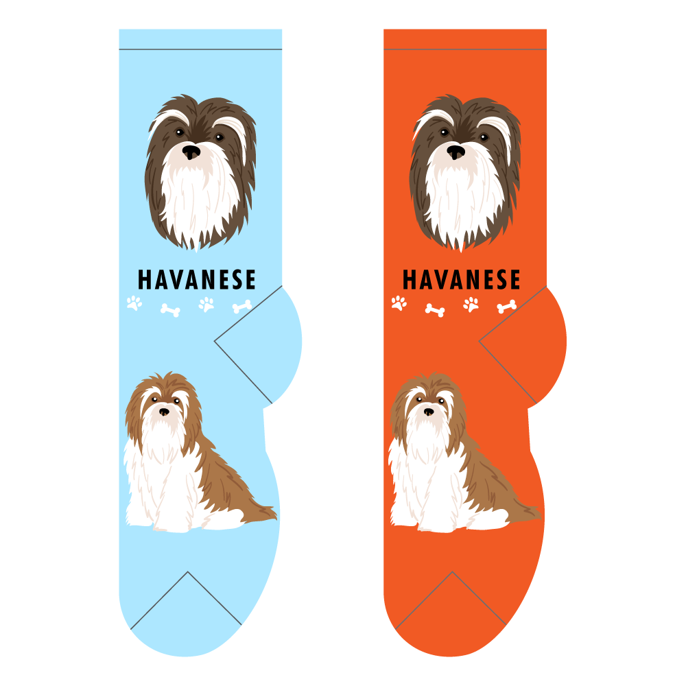 Havanese slipper outlet