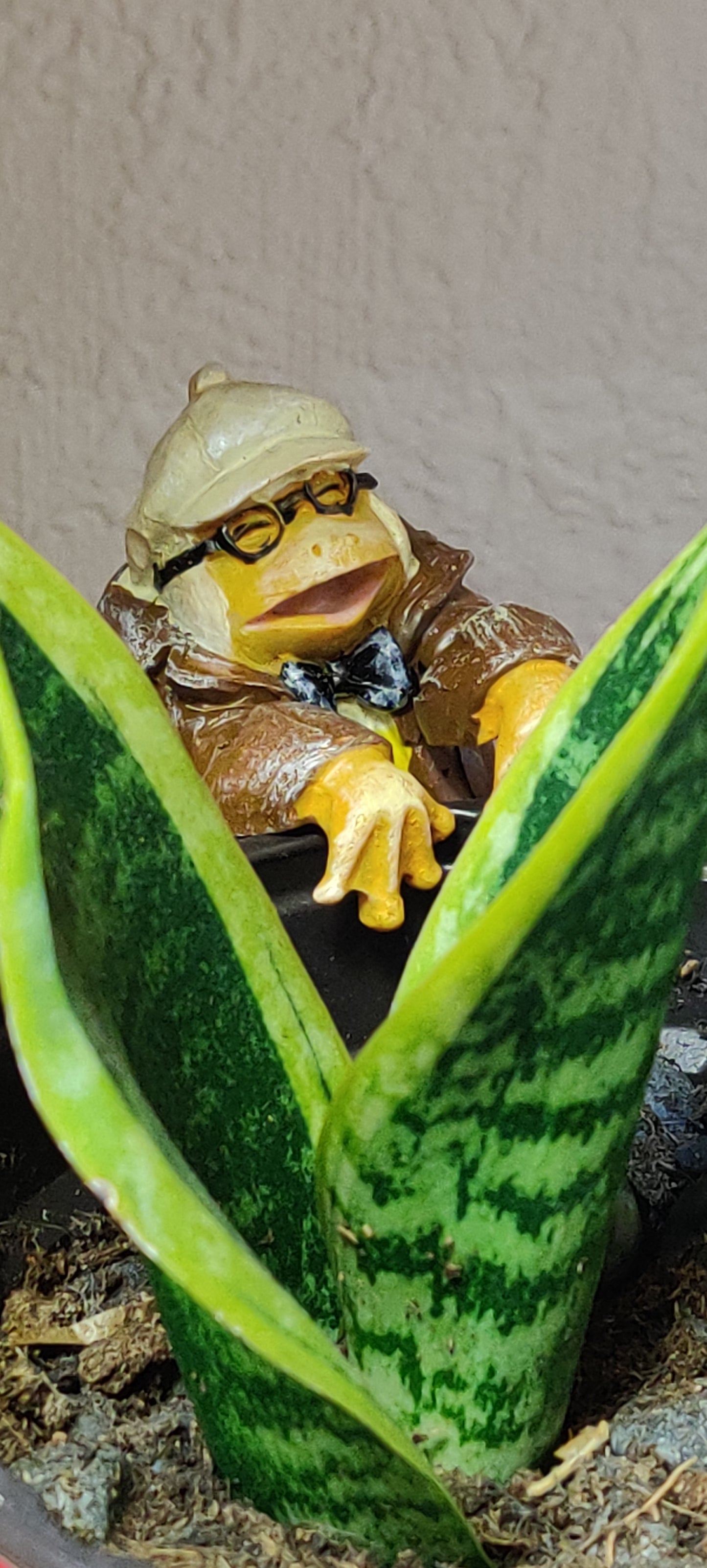 Mr Toad Driving Wind in the Willows Pot Buddy