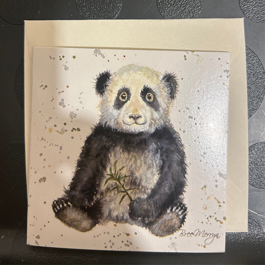 Panda Mini Card