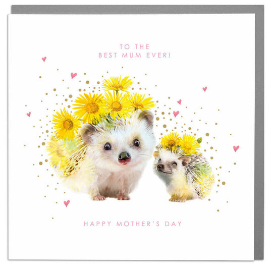 Hedgehogs - To The Best Mum Ever - Mother's Day Card