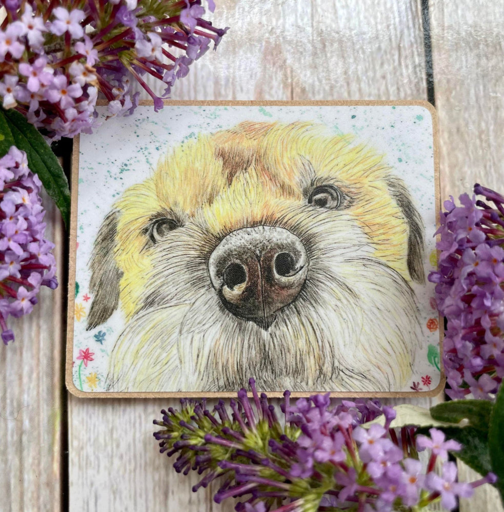 Border Terrier Eco Magnet