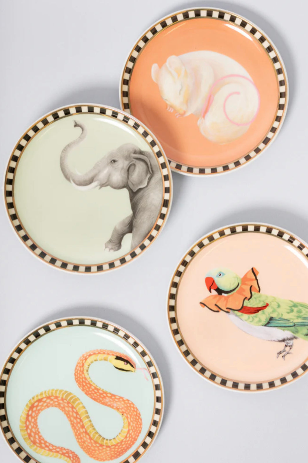 Set of Ceramic Animal Coasters - Yvonne Ellen
