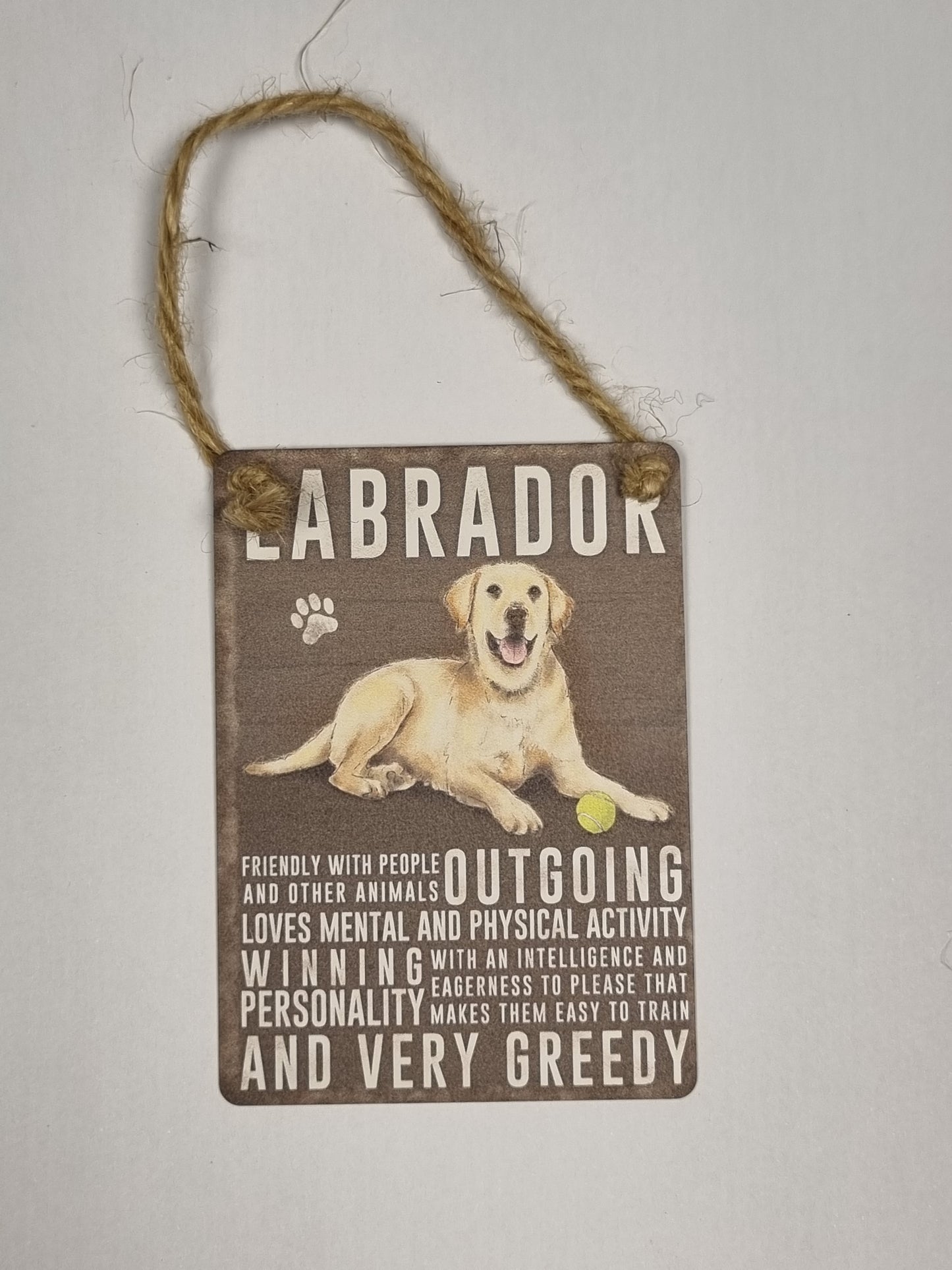 Labrador Mini Metal Plaque Sign