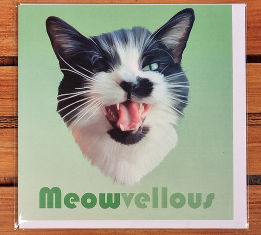 Black and White Cat Meowvellous Card