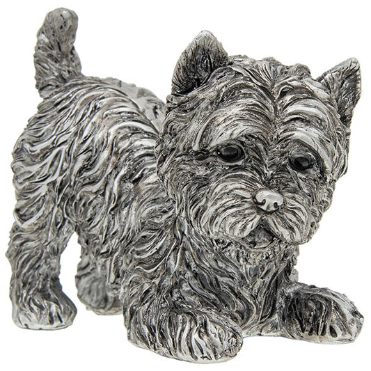 Silver Westie Playing - Small