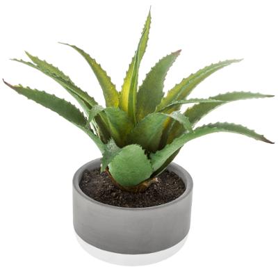Artificial Succulent Plant in Cement Pot