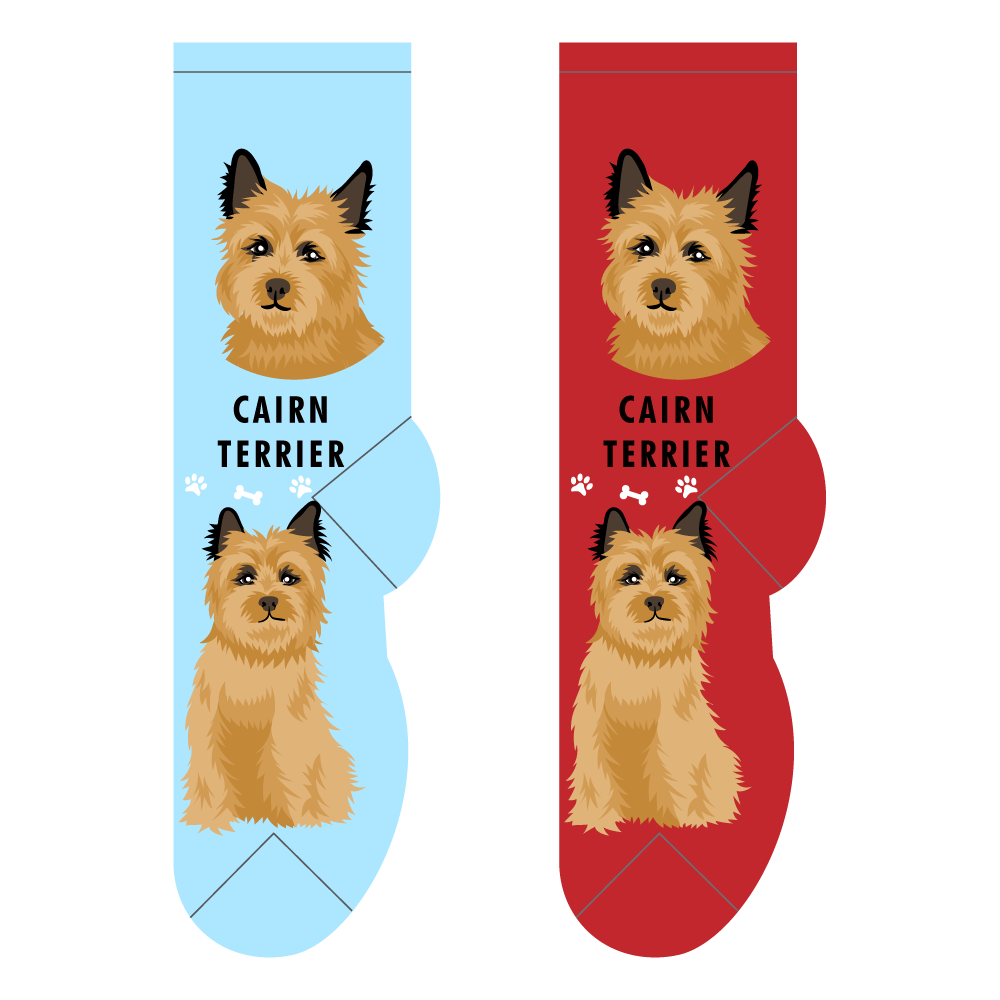 Cairn Terrier Socks