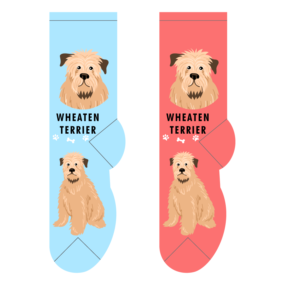 Wheaten Terrier Socks