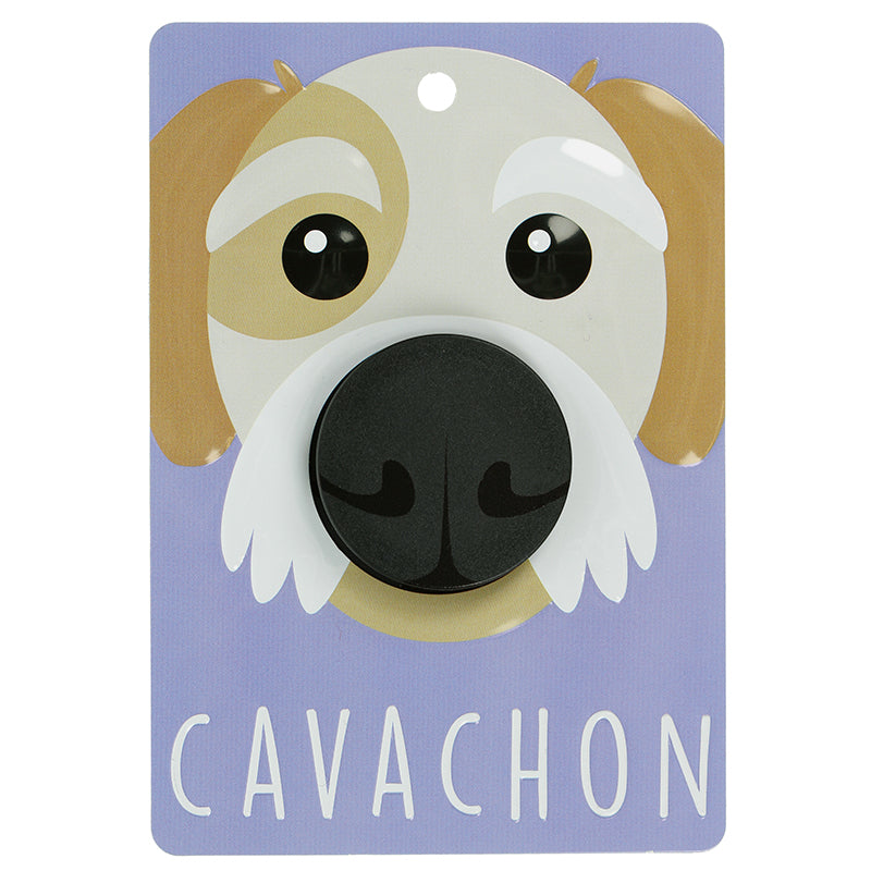 Pooch Pals Dog Lead Holder - Cavachon