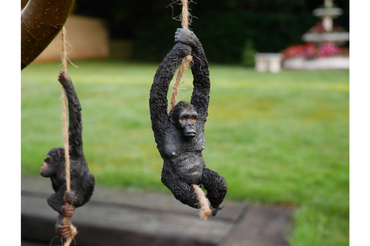 Gorillas On a Rope