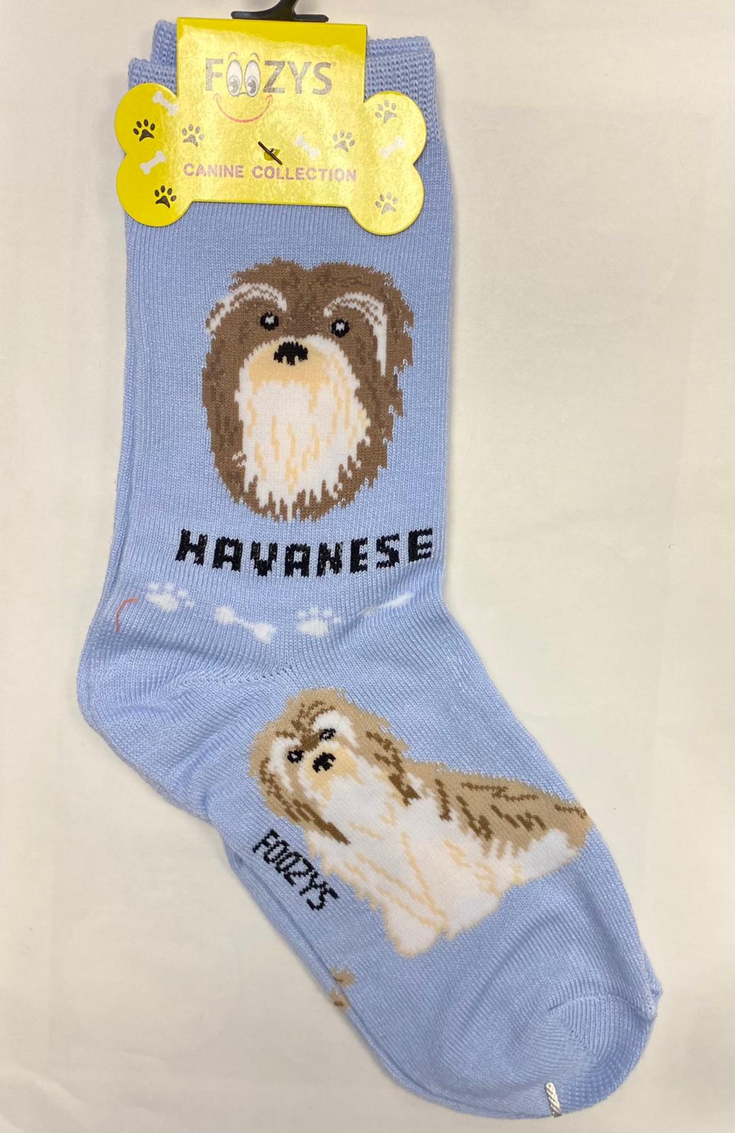 Havanese Socks