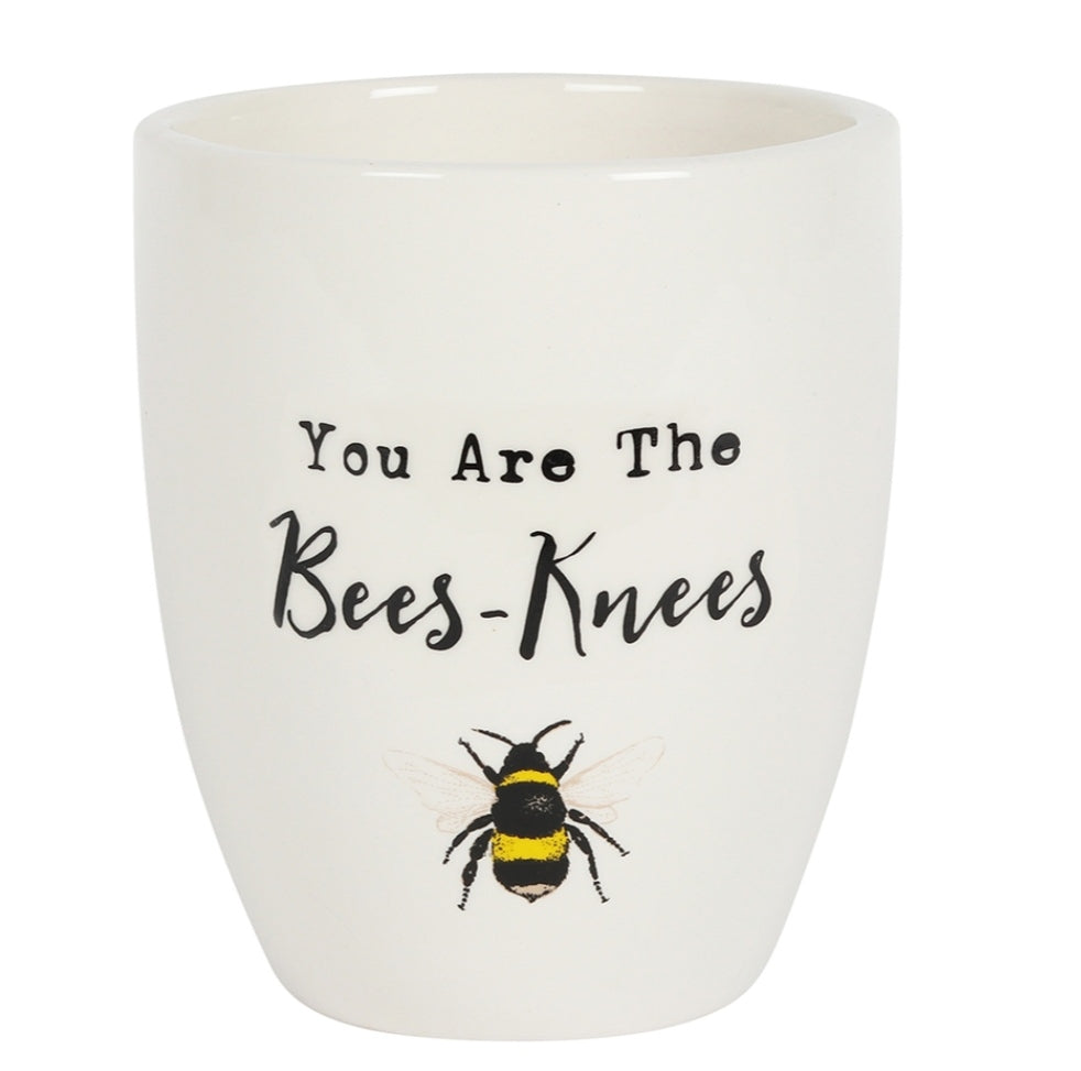 You Are The Bees-Knees Ceramic Plant Pot