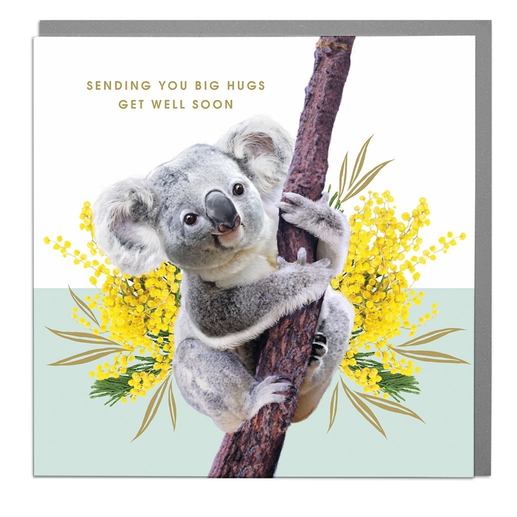 Koala Get Well Soon Card
