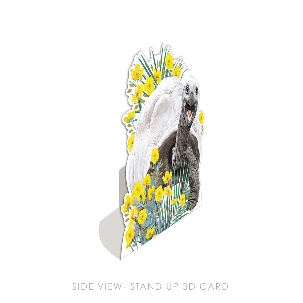 Land Tortoise 3D Card