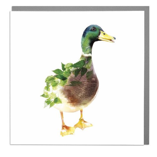 Botanical Mallard Duck Card