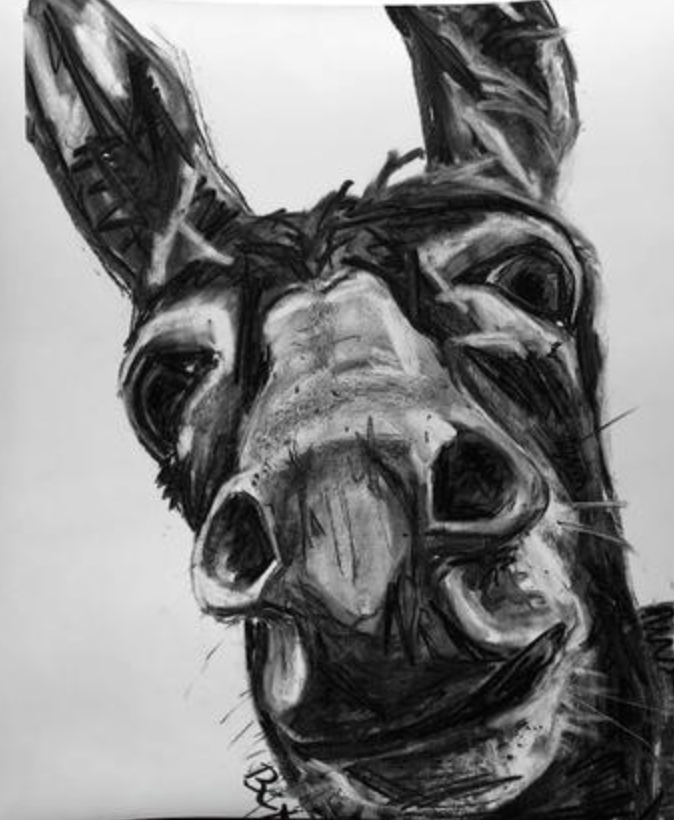 Charcoal Donkey Coaster - Blind Giraffe