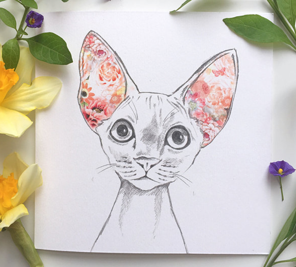 Sphynx Cat Card (Floral Cats Range) - Blind Giraffe
