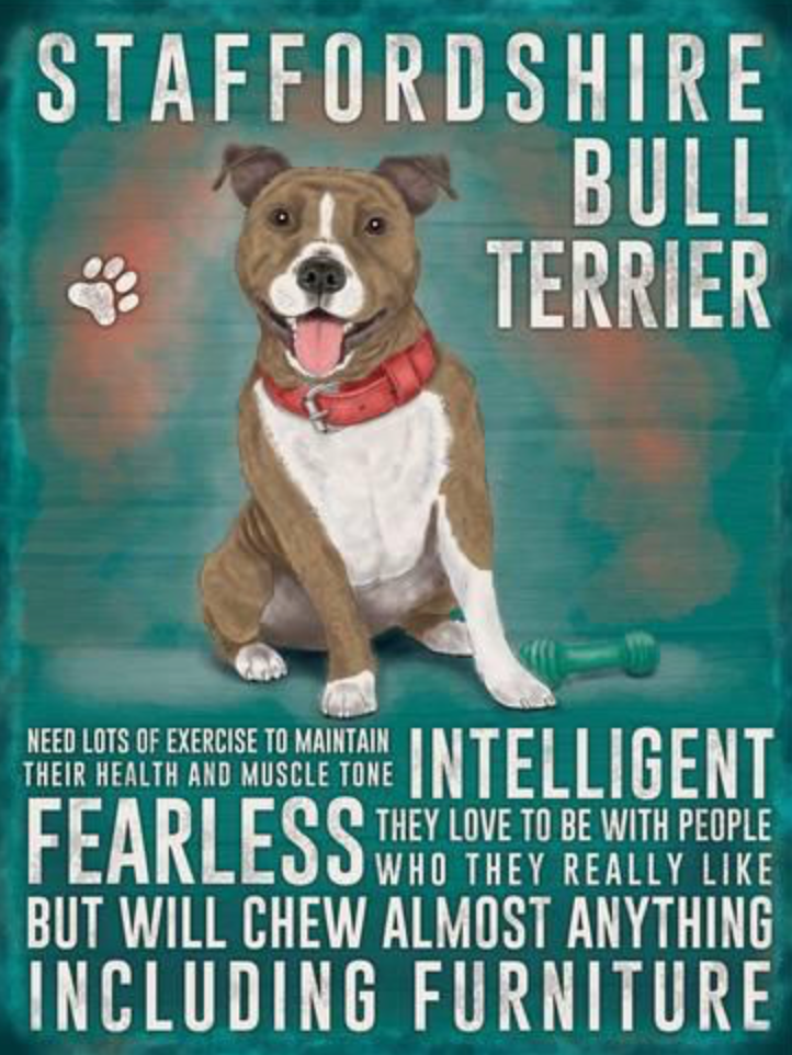 Staffordshire Bull Terrier Mini Metal Plaque Sign