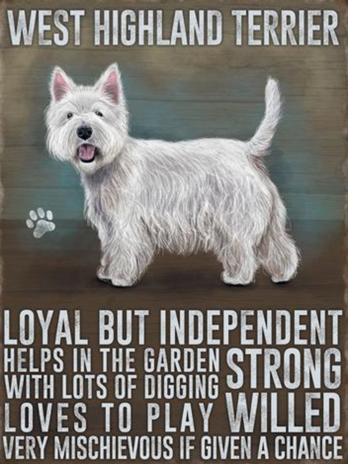 West Highland Terrier Magnet (Westie)