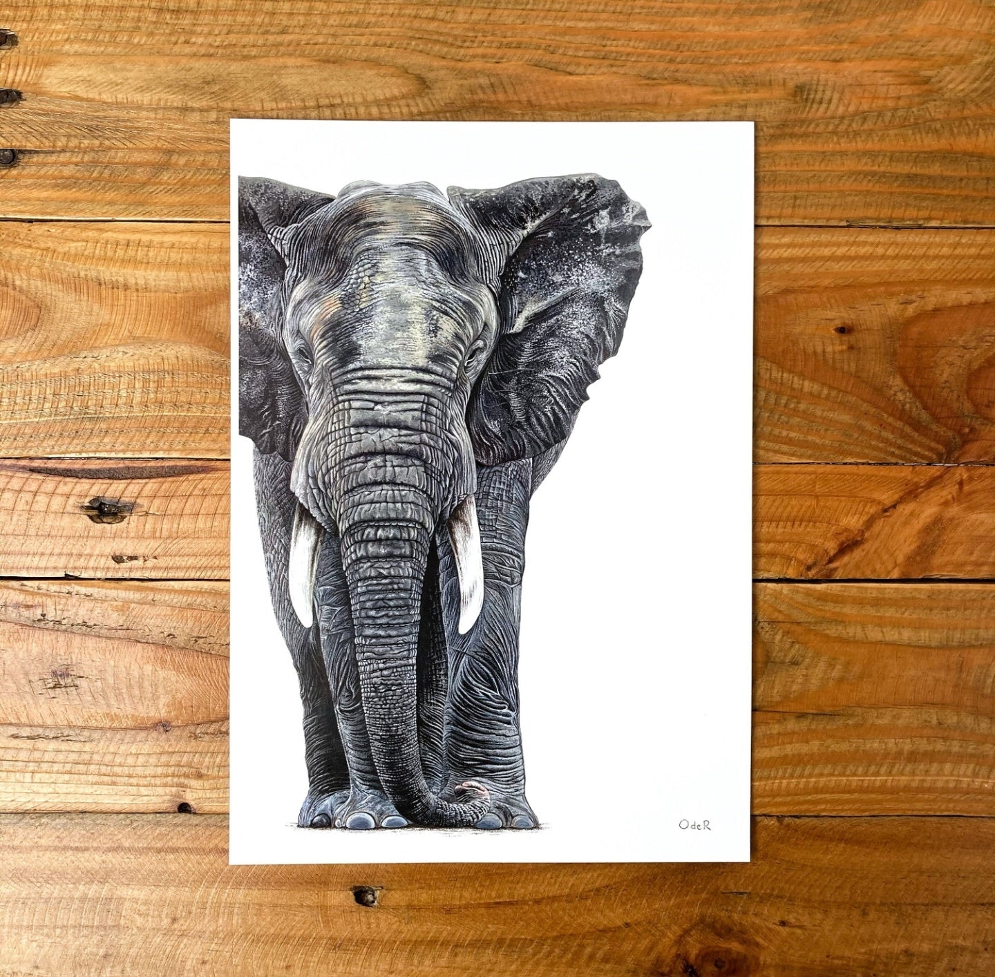 Monty the Elephant Print