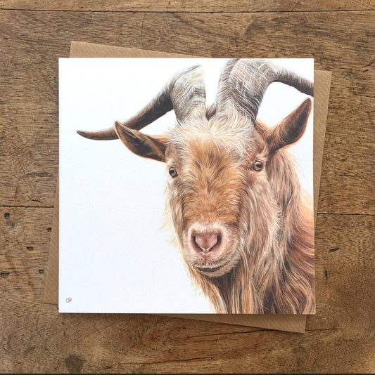 Guernsey Goat Card
