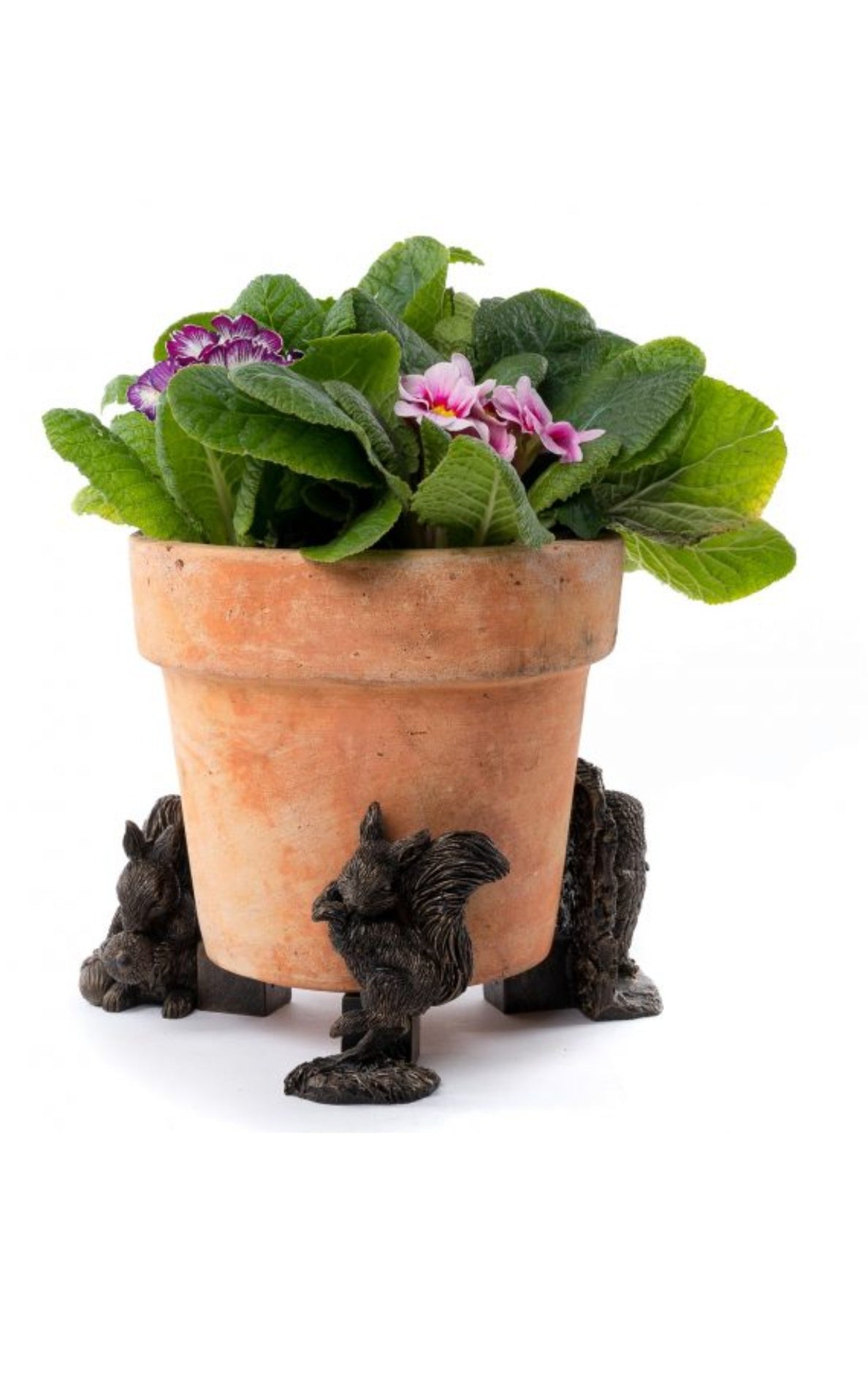 Beatrix Potter Squirrel Nutkin and Old Brown Owl Plant Pot Feet (Bronze)
