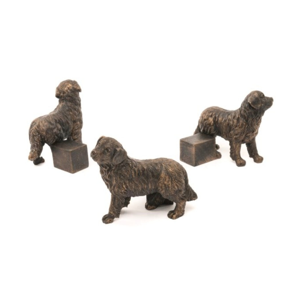 Bernese Mountain Dog Plant Pot Feet (Bronze)