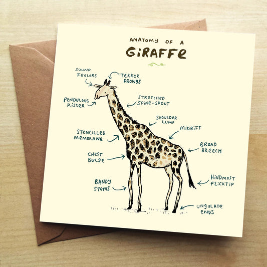 Anatomy Of A Giraffe Card