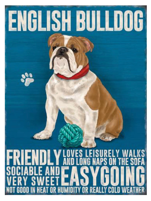 English Bulldog Magnet