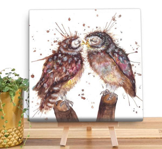 Splatter Owls Canvas - ‘Loved Up’