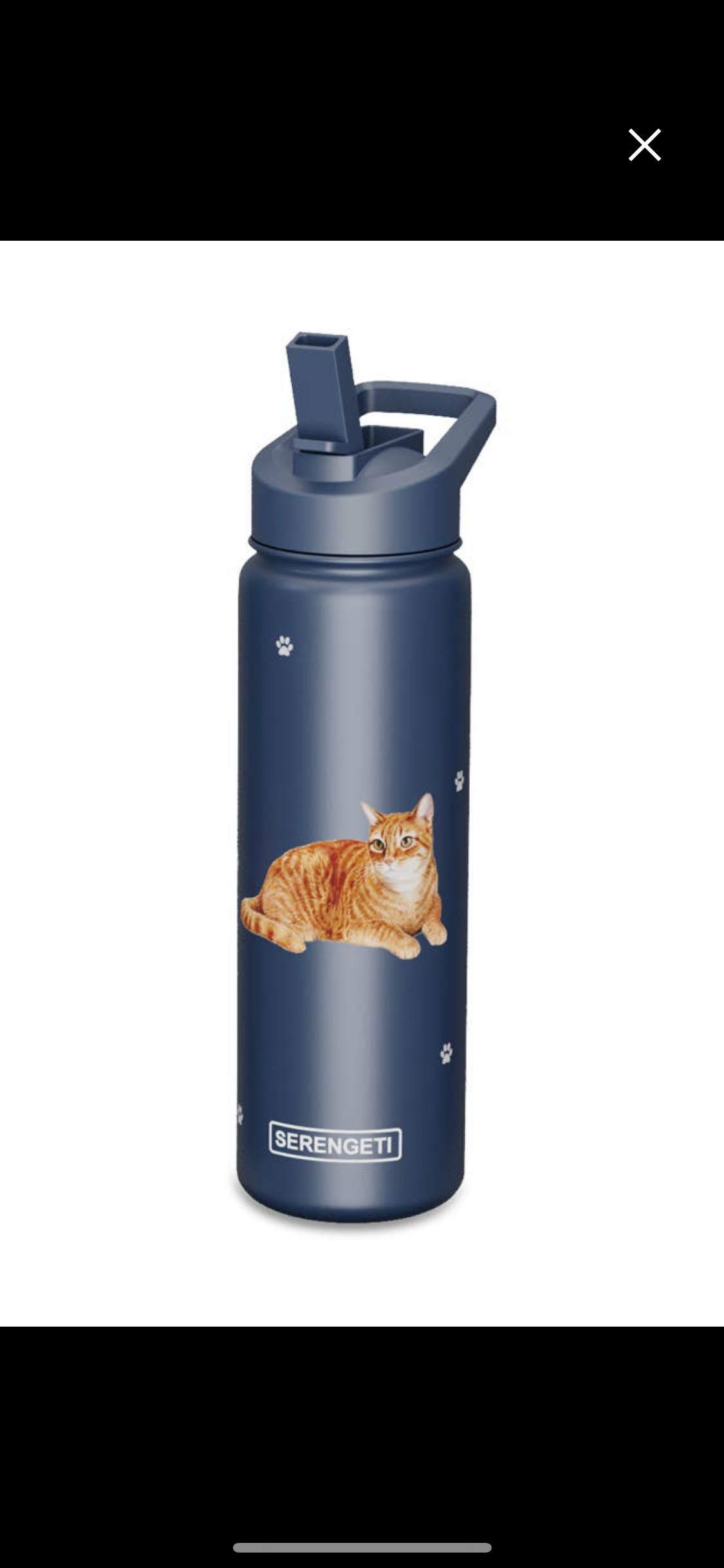 Insulated Water Bottle - Cat