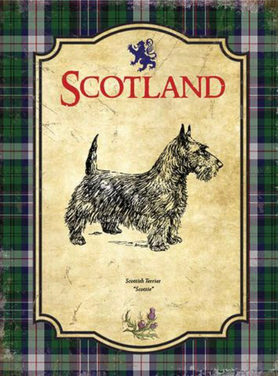 Scotland Scottish Terrier Magnet