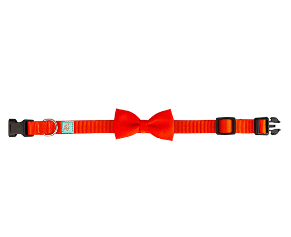 Dog Collar Bow Tie