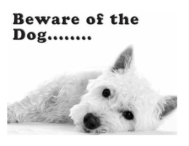 Beware Of The Dog ... Westie Magnet