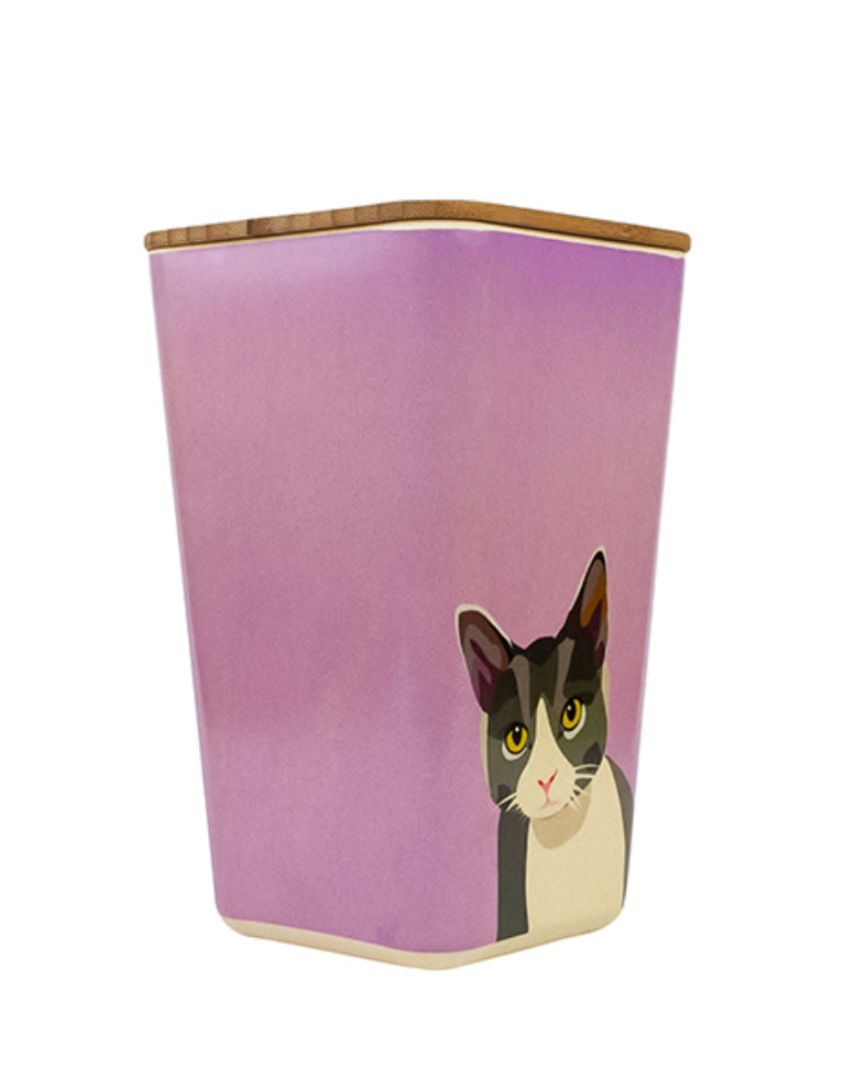 Cat Storage Pot