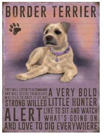 Border Terrier Magnet