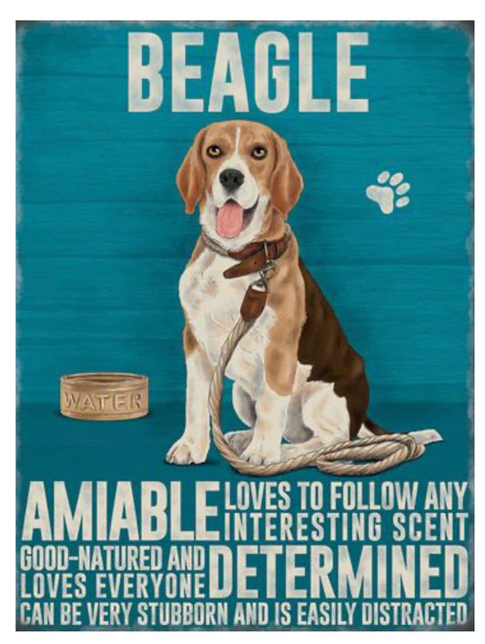 Beagle Magnet