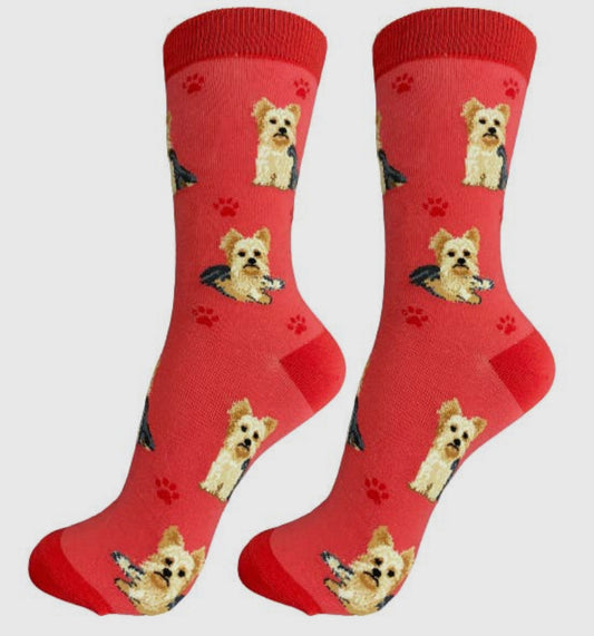 Yorkshire Terrier Socks - Full Body
