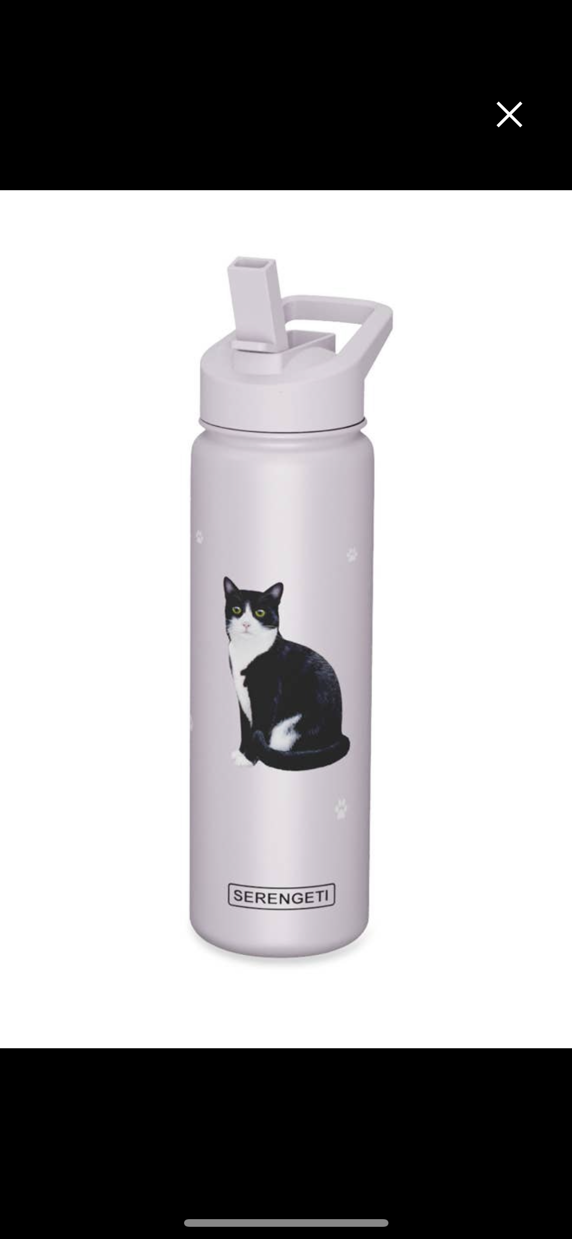 Insulated Water Bottle - Cat