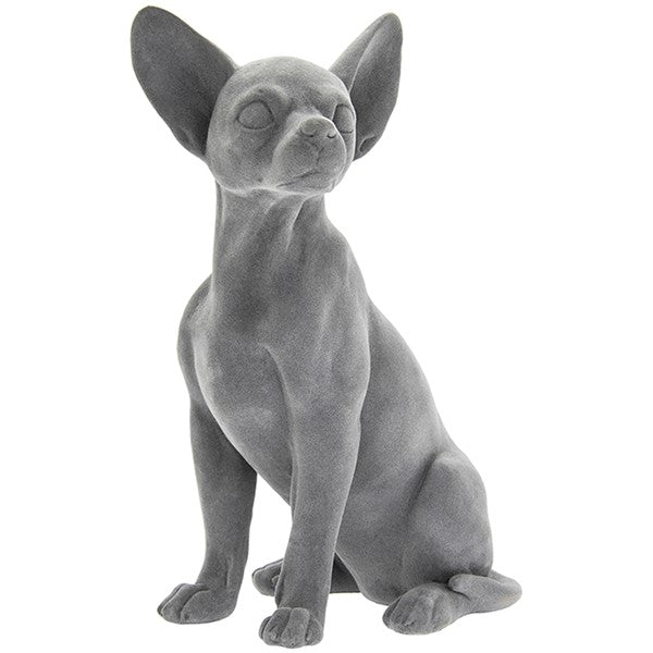 Grey Velvet Chihuahua Sitting